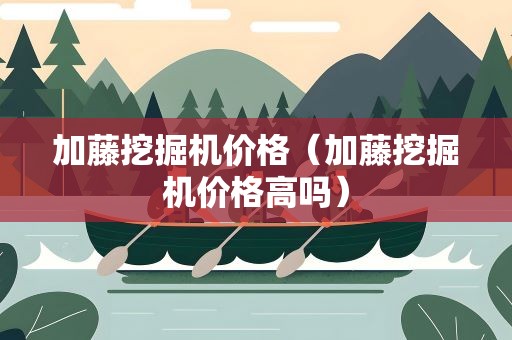 加藤挖掘机价格（加藤挖掘机价格高吗）