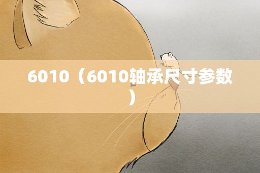 6010（6010轴承尺寸参数）