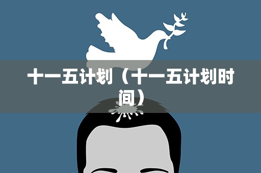 十一五计划（十一五计划时间）