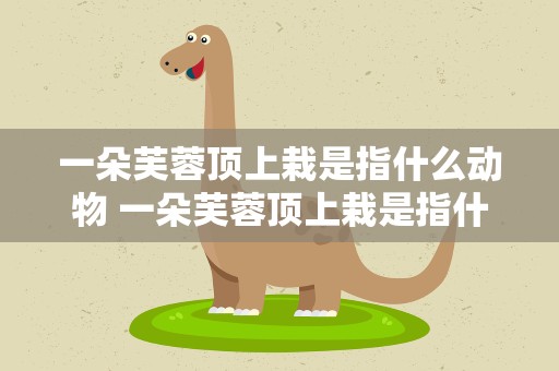 一朵芙蓉顶上栽是指什么动物 一朵芙蓉顶上栽是指什么生肖