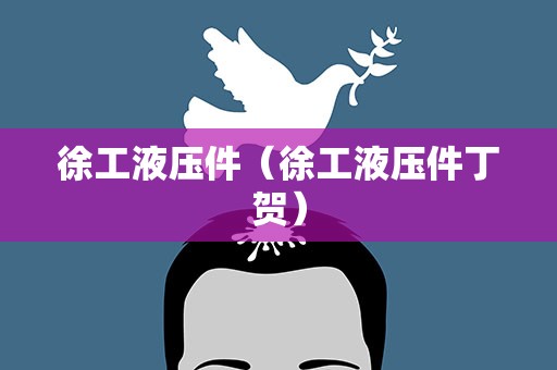 徐工液压件（徐工液压件丁贺）