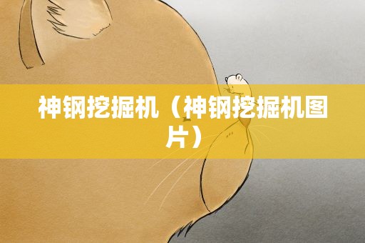神钢挖掘机（神钢挖掘机图片）