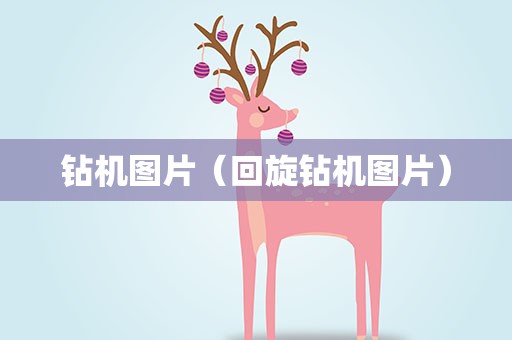 钻机图片（回旋钻机图片）