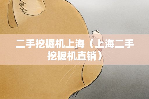 二手挖掘机上海（上海二手挖掘机直销）
