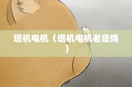 塔机电机（塔机电机老是烧）