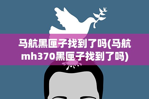 马航黑匣子找到了吗(马航mh370黑匣子找到了吗)