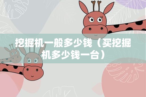 挖掘机一般多少钱（买挖掘机多少钱一台）