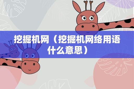 挖掘机网（挖掘机网络用语什么意思）