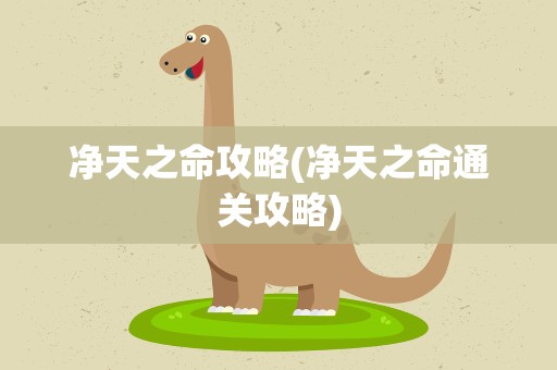 净天之命攻略(净天之命通关攻略)