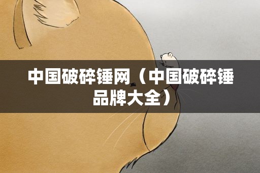 中国破碎锤网（中国破碎锤品牌大全）