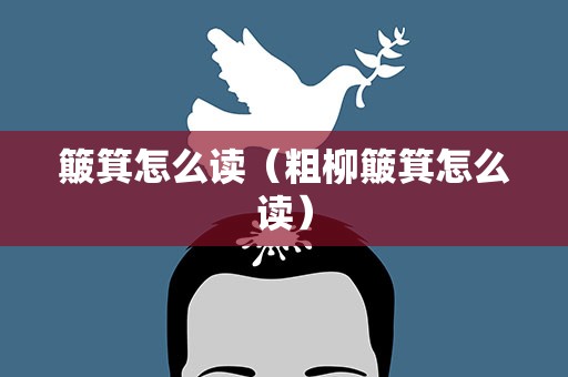 簸箕怎么读（粗柳簸箕怎么读）