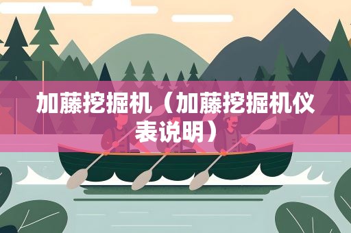 加藤挖掘机（加藤挖掘机仪表说明）