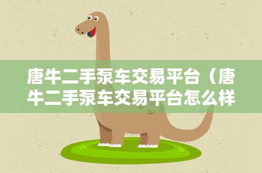 唐牛二手泵车交易平台（唐牛二手泵车交易平台怎么样）