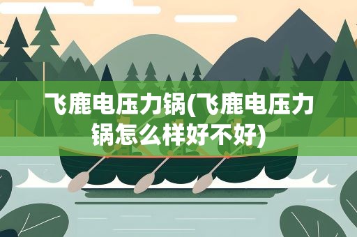 飞鹿电压力锅(飞鹿电压力锅怎么样好不好)