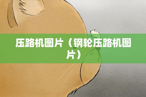 压路机图片（钢轮压路机图片）
