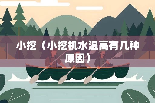小挖（小挖机水温高有几种原因）