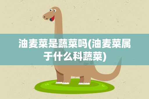油麦菜是蔬菜吗(油麦菜属于什么科蔬菜)
