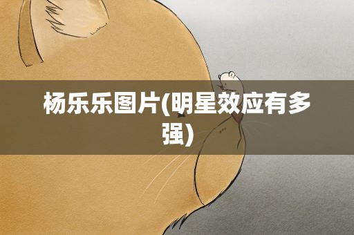 杨乐乐图片(明星效应有多强)