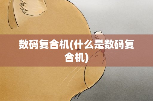 数码复合机(什么是数码复合机)