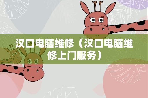 汉口电脑维修（汉口电脑维修上门服务）