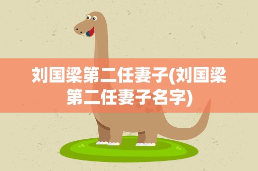 刘国梁第二任妻子(刘国梁第二任妻子名字)