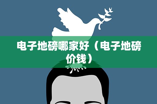 电子地磅哪家好（电子地磅价钱）