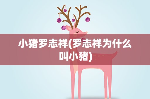 小猪罗志祥(罗志祥为什么叫小猪)