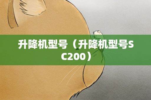 升降机型号（升降机型号SC200）