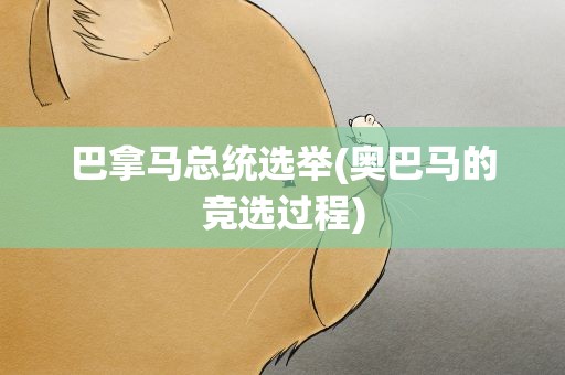 巴拿马总统选举(奥巴马的竞选过程)