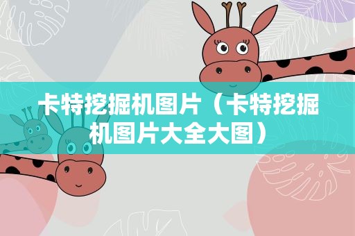 卡特挖掘机图片（卡特挖掘机图片大全大图）