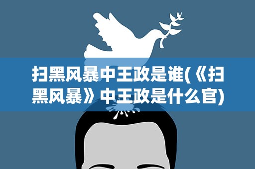 扫黑风暴中王政是谁(《扫黑风暴》中王政是什么官)