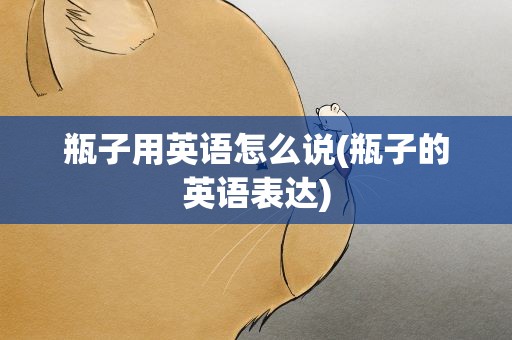 瓶子用英语怎么说(瓶子的英语表达)
