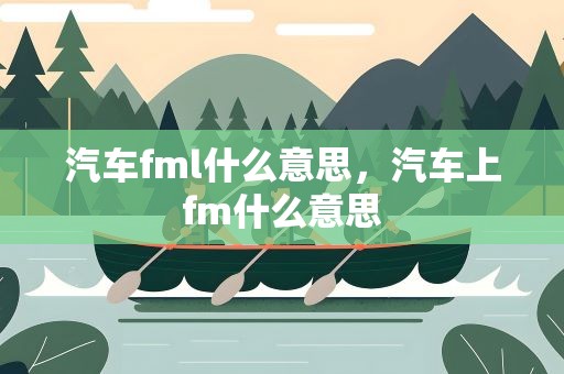 汽车fml什么意思，汽车上fm什么意思