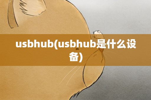 usbhub(usbhub是什么设备)