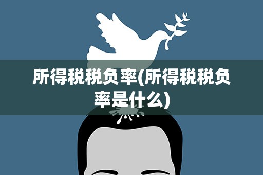 所得税税负率(所得税税负率是什么)