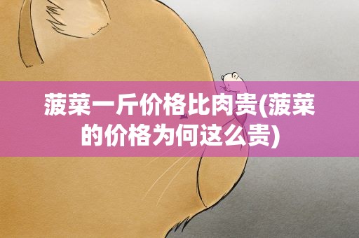 菠菜一斤价格比肉贵(菠菜的价格为何这么贵)