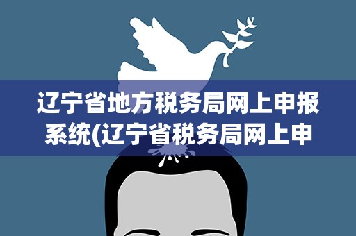 辽宁省地方税务局网上申报系统(辽宁省税务局网上申报)