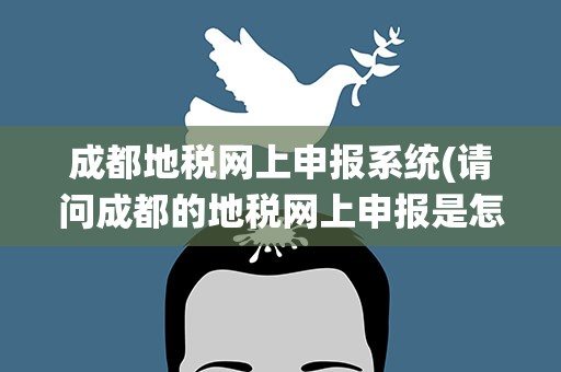 成都地税网上申报系统(请问成都的地税网上申报是怎么操作的)