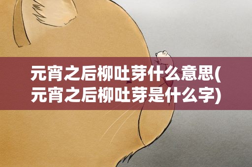 元宵之后柳吐芽什么意思(元宵之后柳吐芽是什么字)