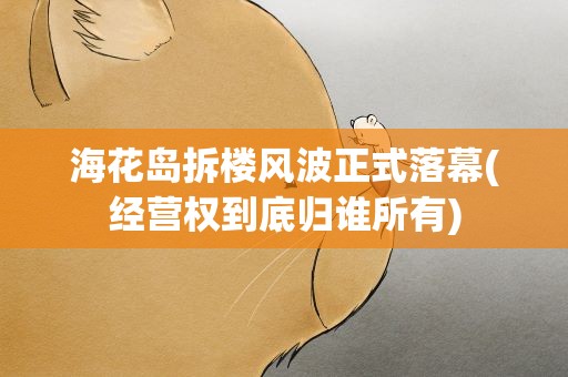 海花岛拆楼风波正式落幕(经营权到底归谁所有)