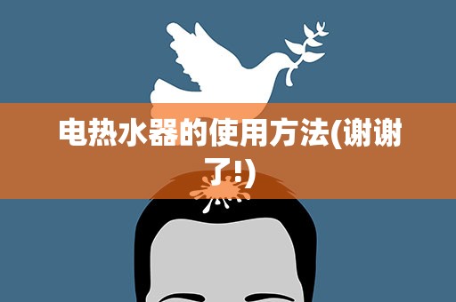 电热水器的使用方法(谢谢了!)