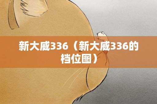 新大威336（新大威336的档位图）