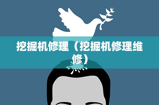 挖掘机修理（挖掘机修理维修）