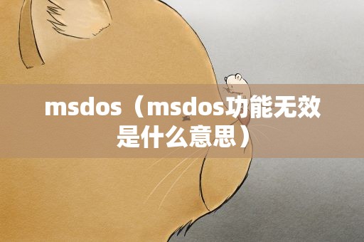 msdos（msdos功能无效是什么意思）