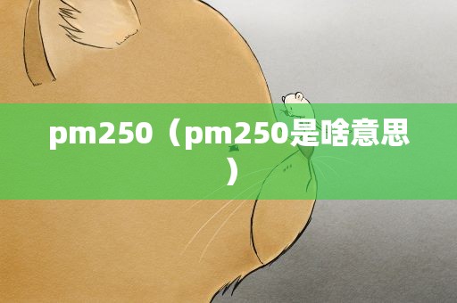 pm250（pm250是啥意思）