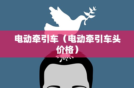 电动牵引车（电动牵引车头价格）