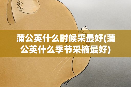 蒲公英什么时候采最好(蒲公英什么季节采摘最好)