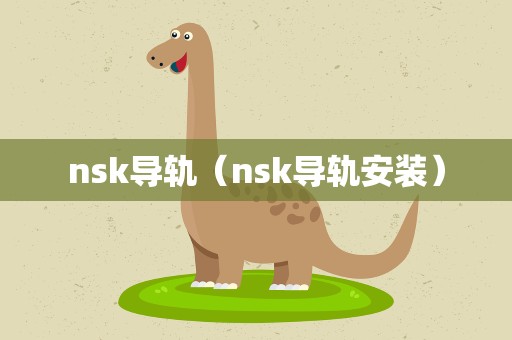 nsk导轨（nsk导轨安装）