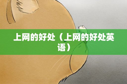 上网的好处（上网的好处英语）