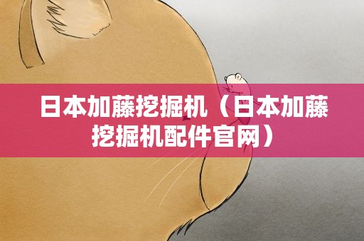 日本加藤挖掘机（日本加藤挖掘机配件官网）